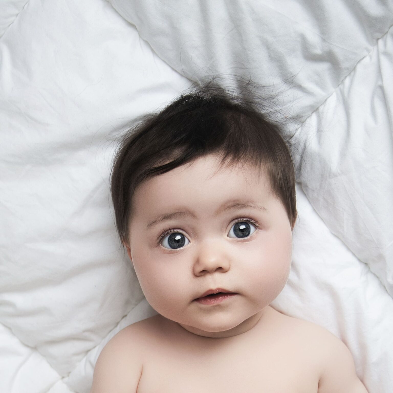 Portrait d'un bébé de 6 mois en studio.